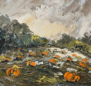 Pumpkin field, Brynciencyn, Anglesey